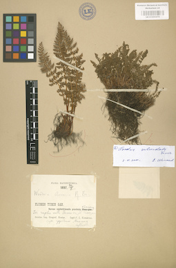 LE 01000478