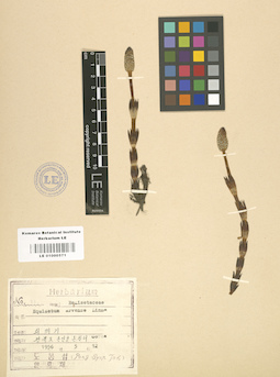 LE 01000571