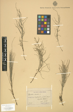 LE 01000572