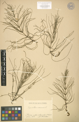 LE 01000574