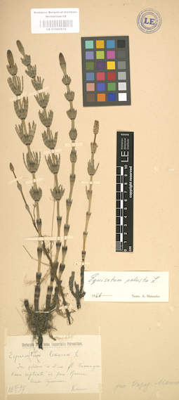 LE 01000576