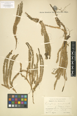 LE 01000580
