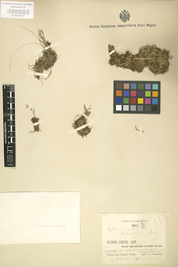 LE 01000619
