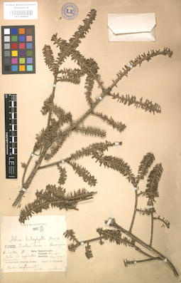 LE 01000645