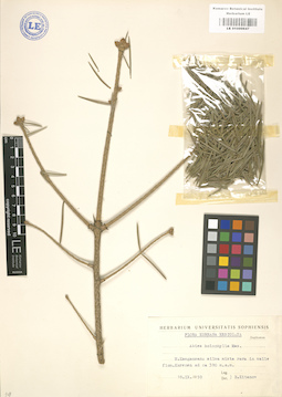 LE 01000647