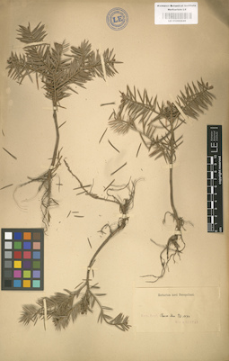 LE 01000649