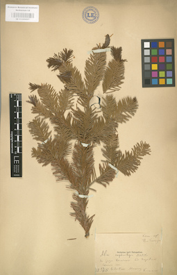 LE 01000657