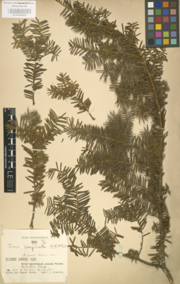 LE 01000663