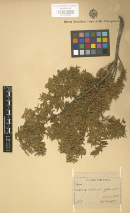 LE 01000668