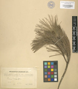 LE 01000672