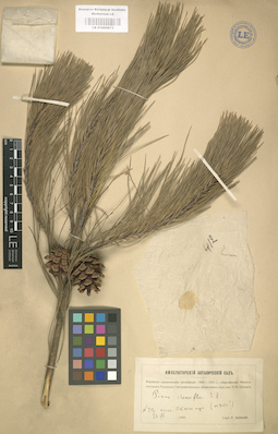 LE 01000673