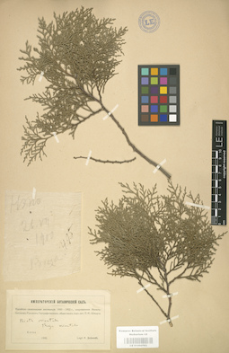 LE 01000702
