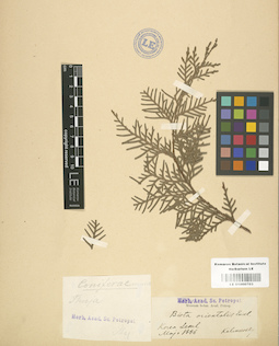 LE 01000703