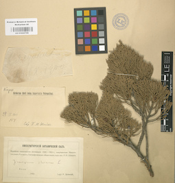 LE 01000709