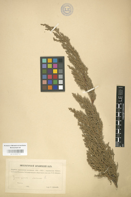 LE 01000710