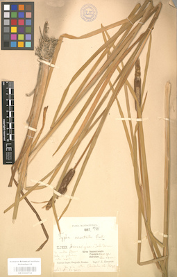 LE 01000724