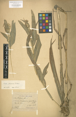 LE 01000725