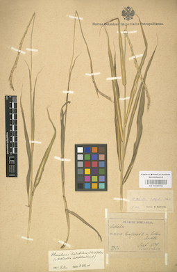 LE 01000738