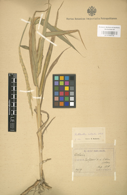 LE 01000739