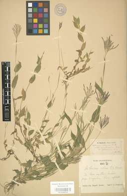 LE 01000745