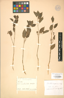 LE 01000747