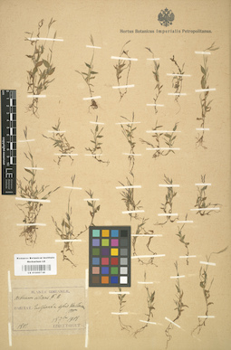LE 01000748