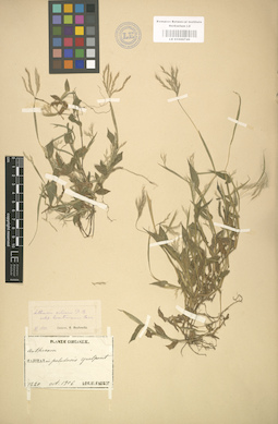 LE 01000749
