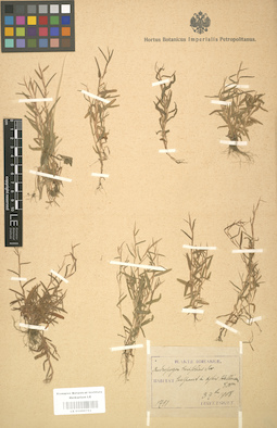 LE 01000753