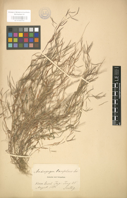 LE 01000754
