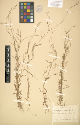 LE 01000755