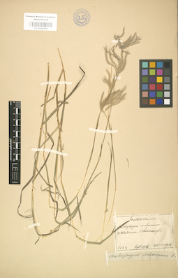 LE 01000756