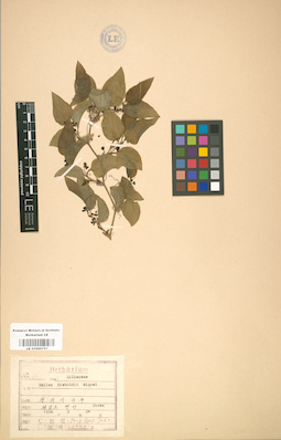 LE 01000757