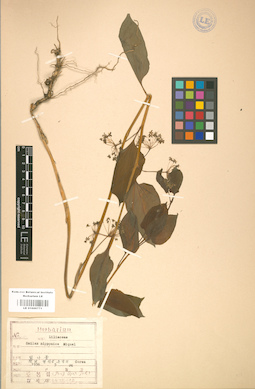 LE 01000771