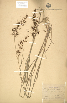 LE 01000773