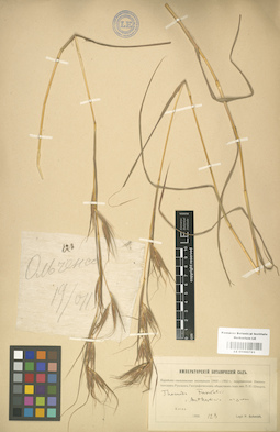LE 01000783