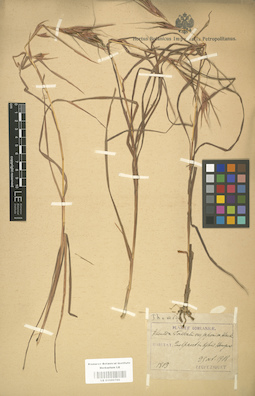 LE 01000789