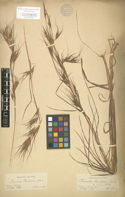 LE 01000790