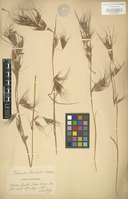 LE 01000791