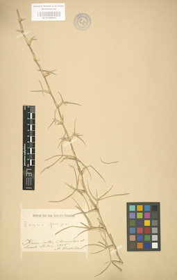 LE 01000803