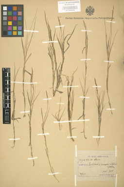 LE 01000806