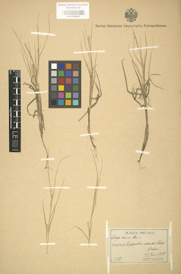 LE 01000807