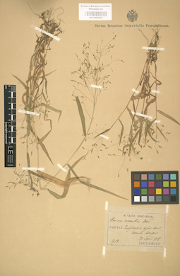 LE 01000853
