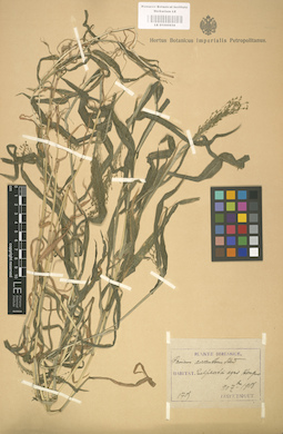 LE 01000858