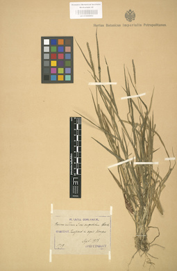 LE 01000862