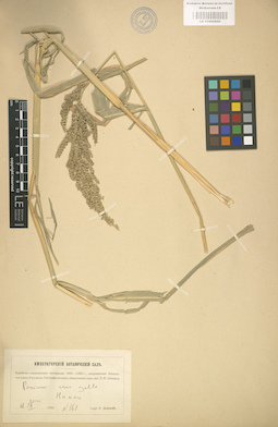 LE 01000866