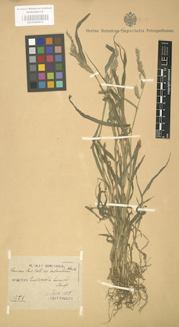 LE 01000870
