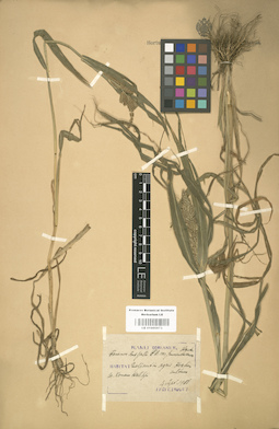 LE 01000873