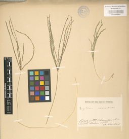 LE 01000885