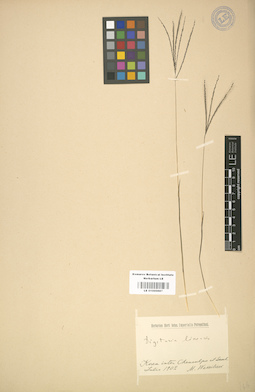 LE 01000887