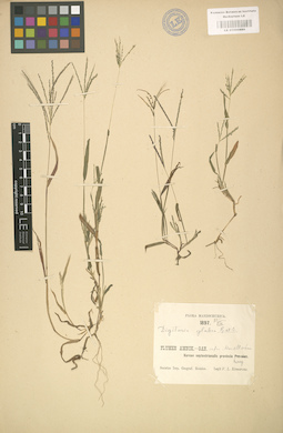 LE 01000888